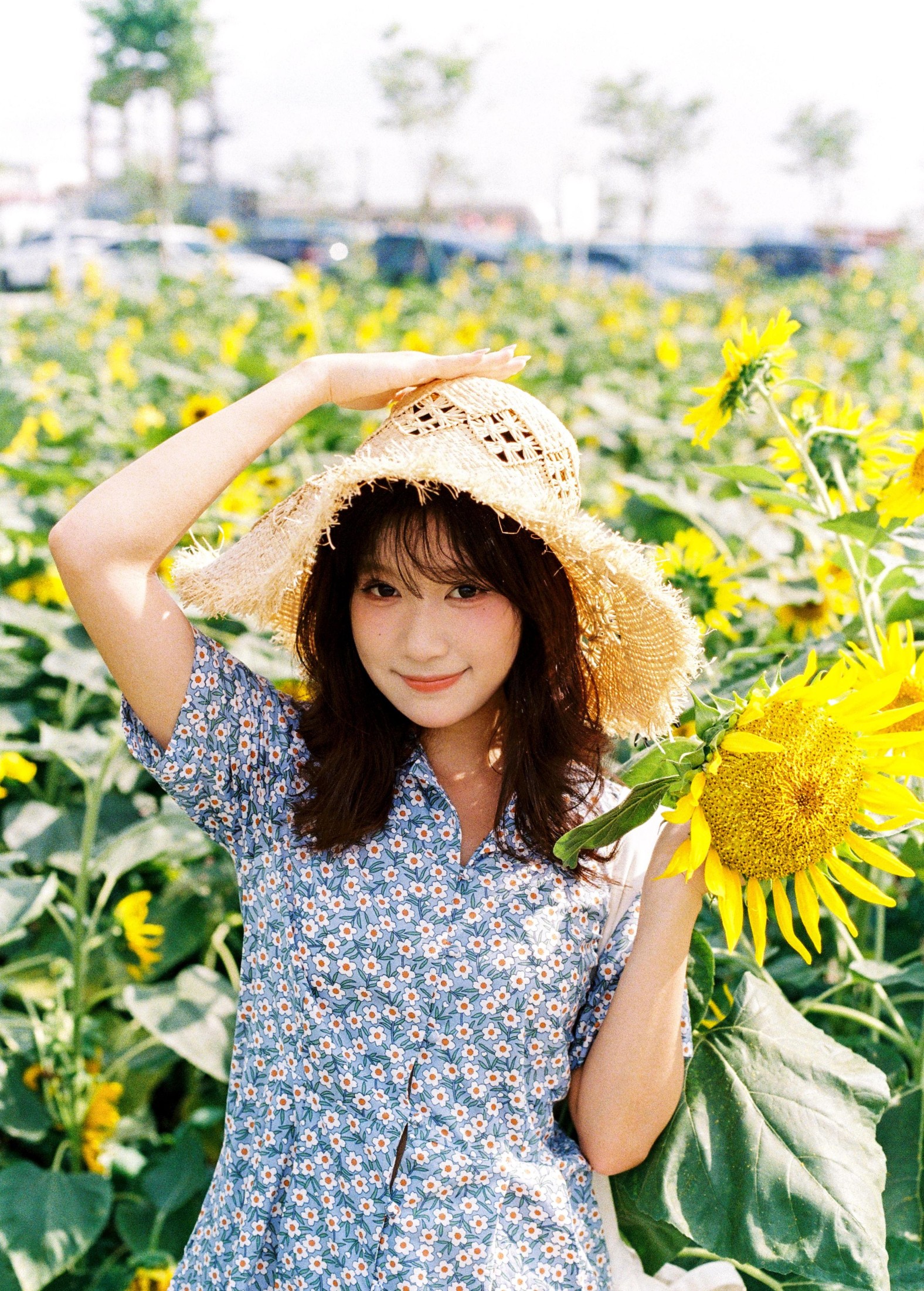 图片[2]-沐沐（约拍 – 《向日葵的花语》[18P]-COS写真在线网