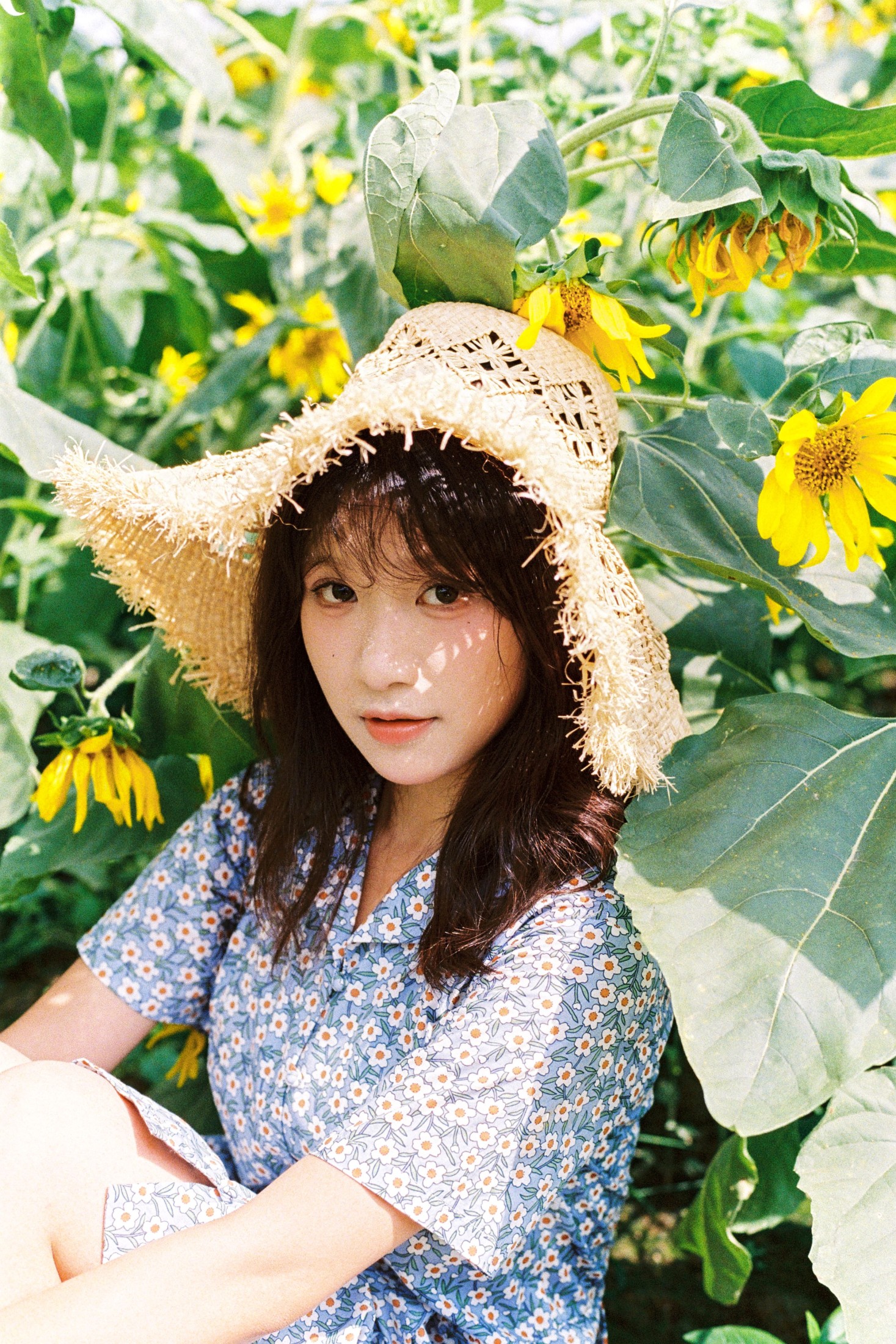 图片[6]-沐沐（约拍 – 《向日葵的花语》[18P]-COS写真在线网