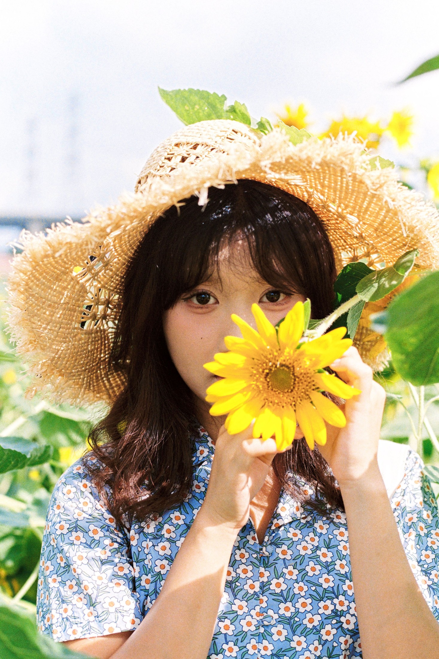 图片[3]-沐沐（约拍 – 《向日葵的花语》[18P]-COS写真在线网