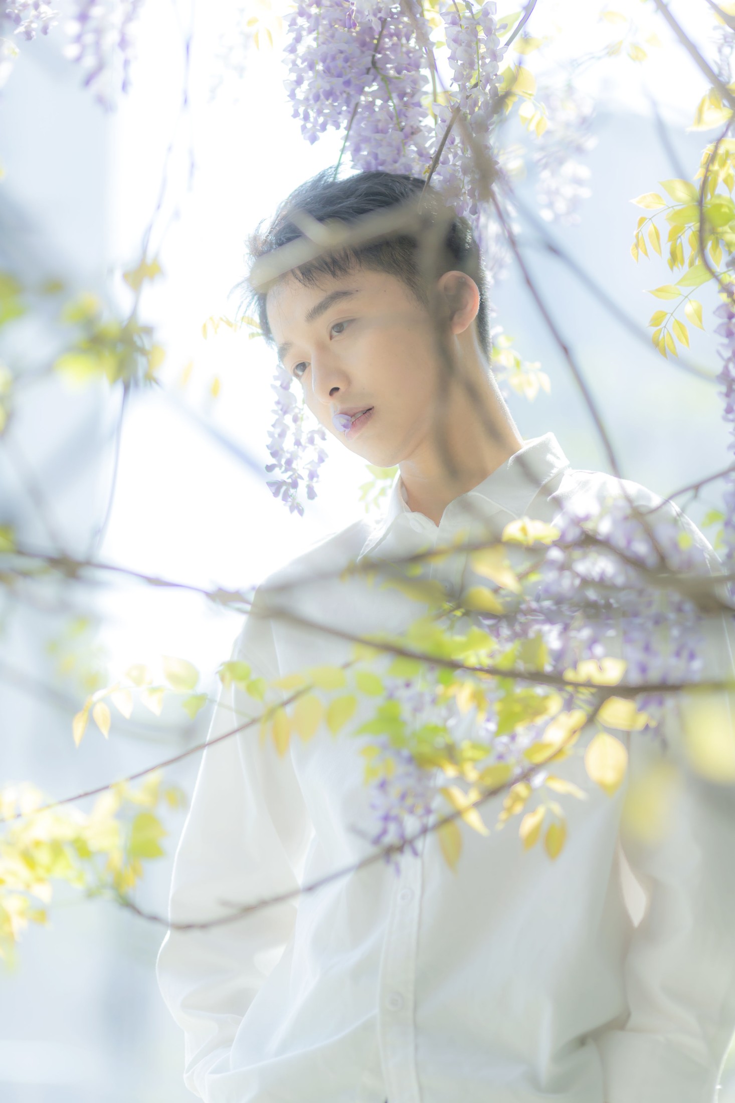 图片[4]-峥 – 《花儿与少年》[17P]-COS写真在线网
