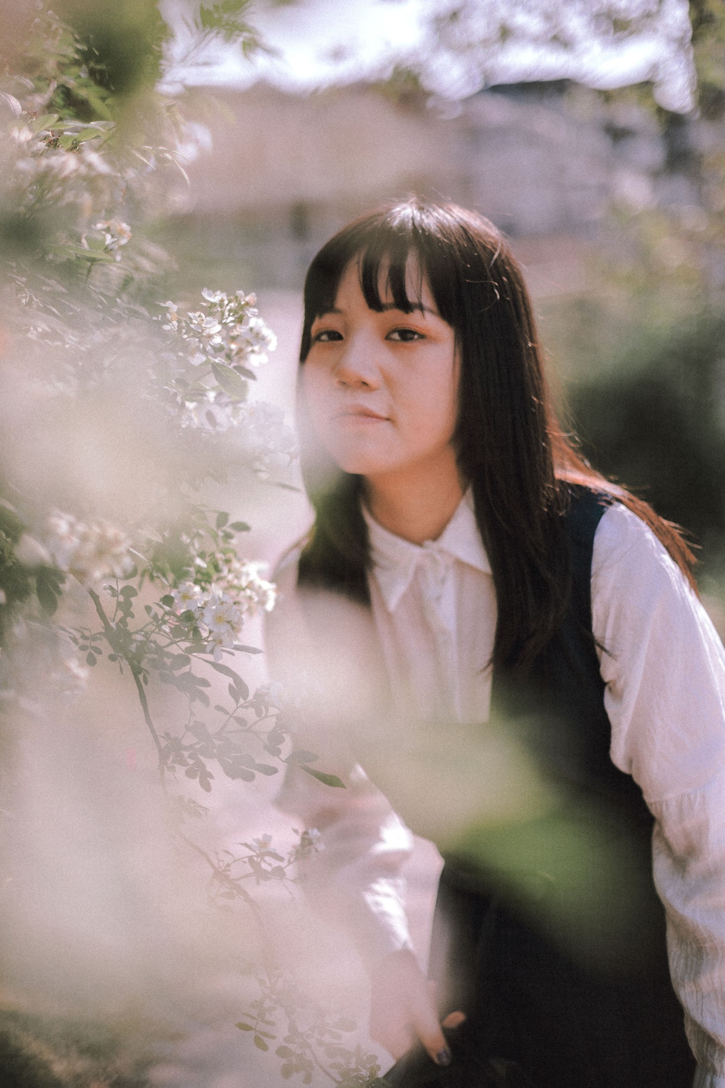 图片[3]-晗 – 《蔷薇花开》[17P]-COS写真在线网