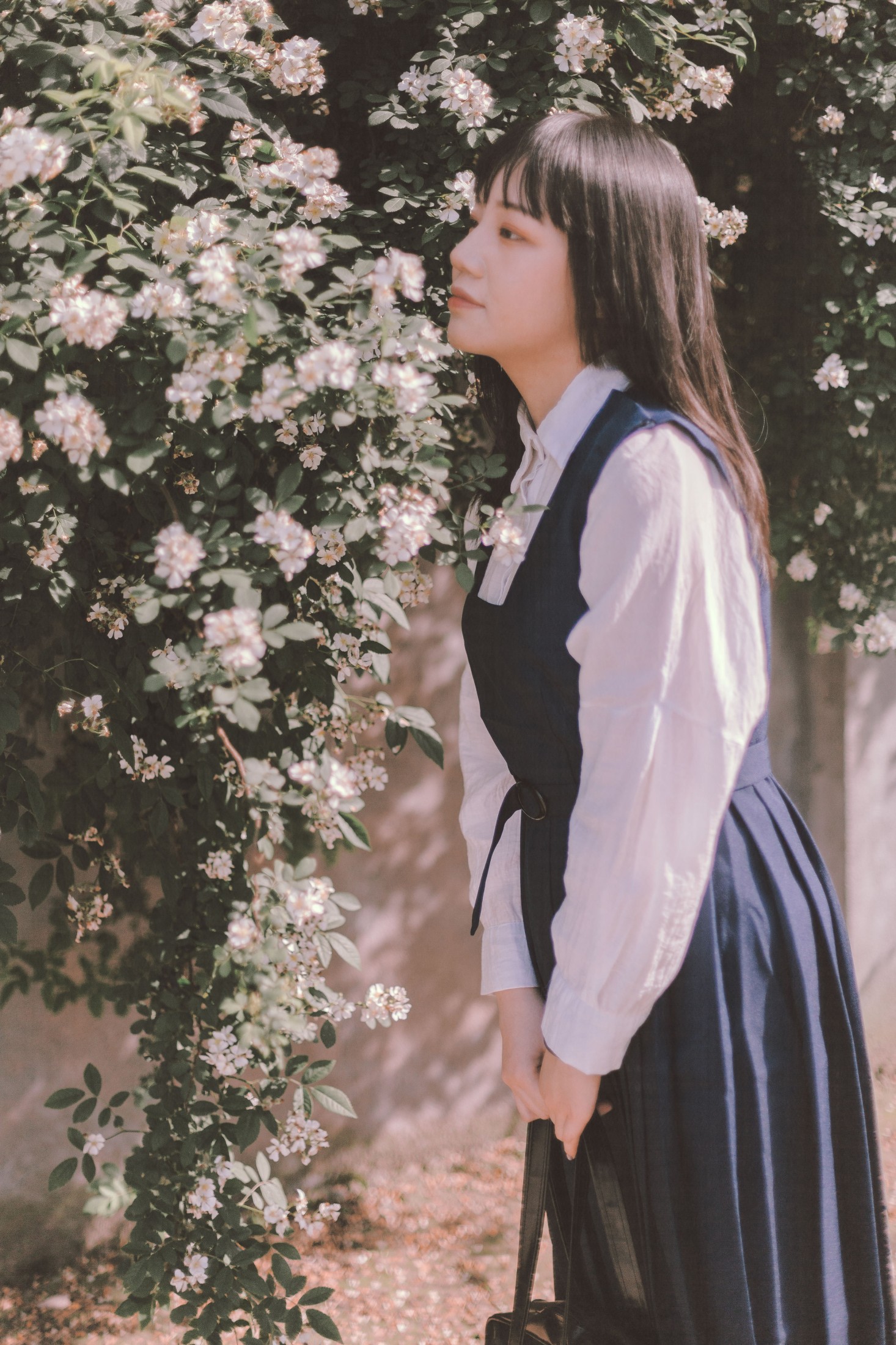图片[4]-晗 – 《蔷薇花开》[17P]-COS写真在线网