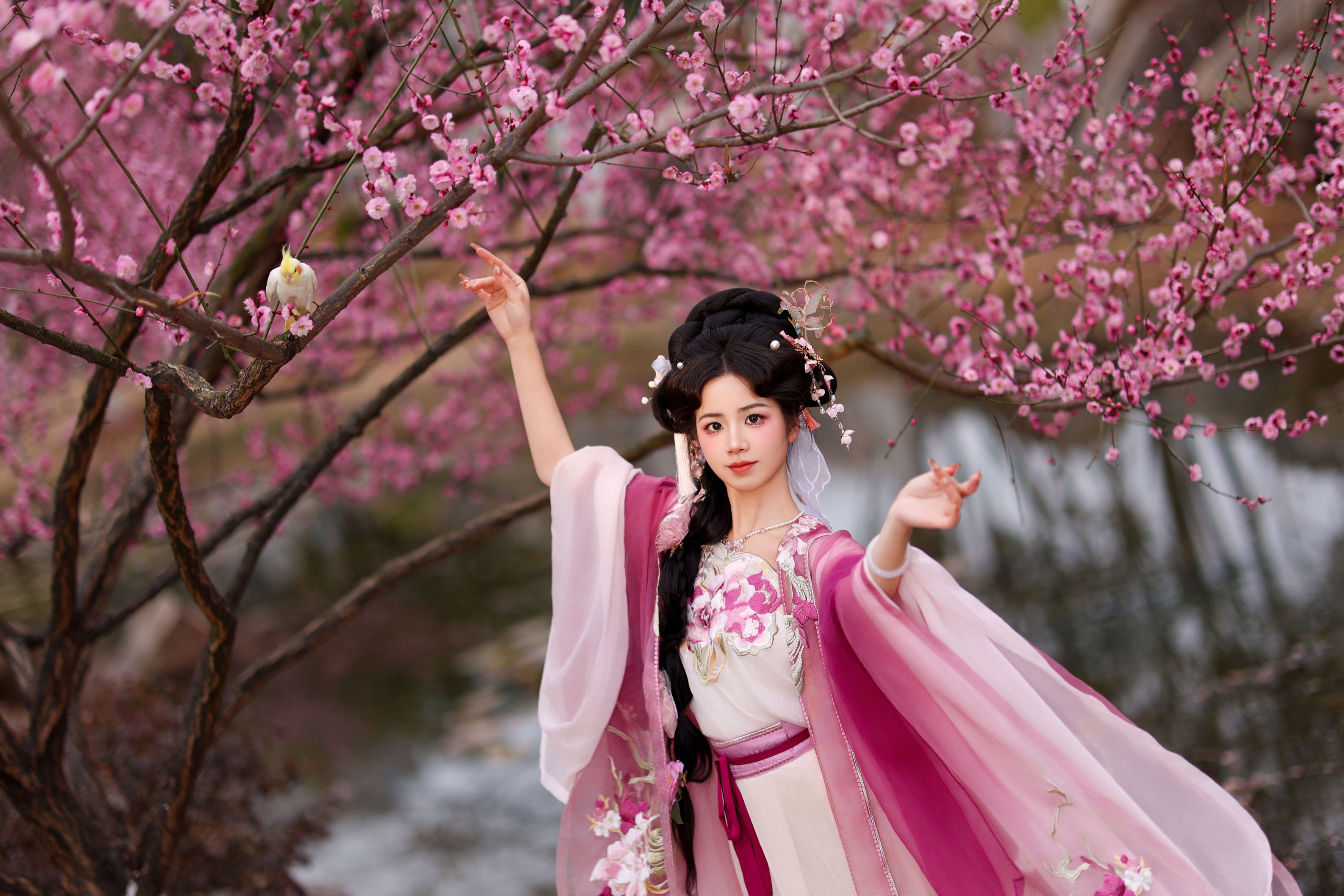 图片[6]-小杜同学 – 《芍药》[33P]-COS写真在线网