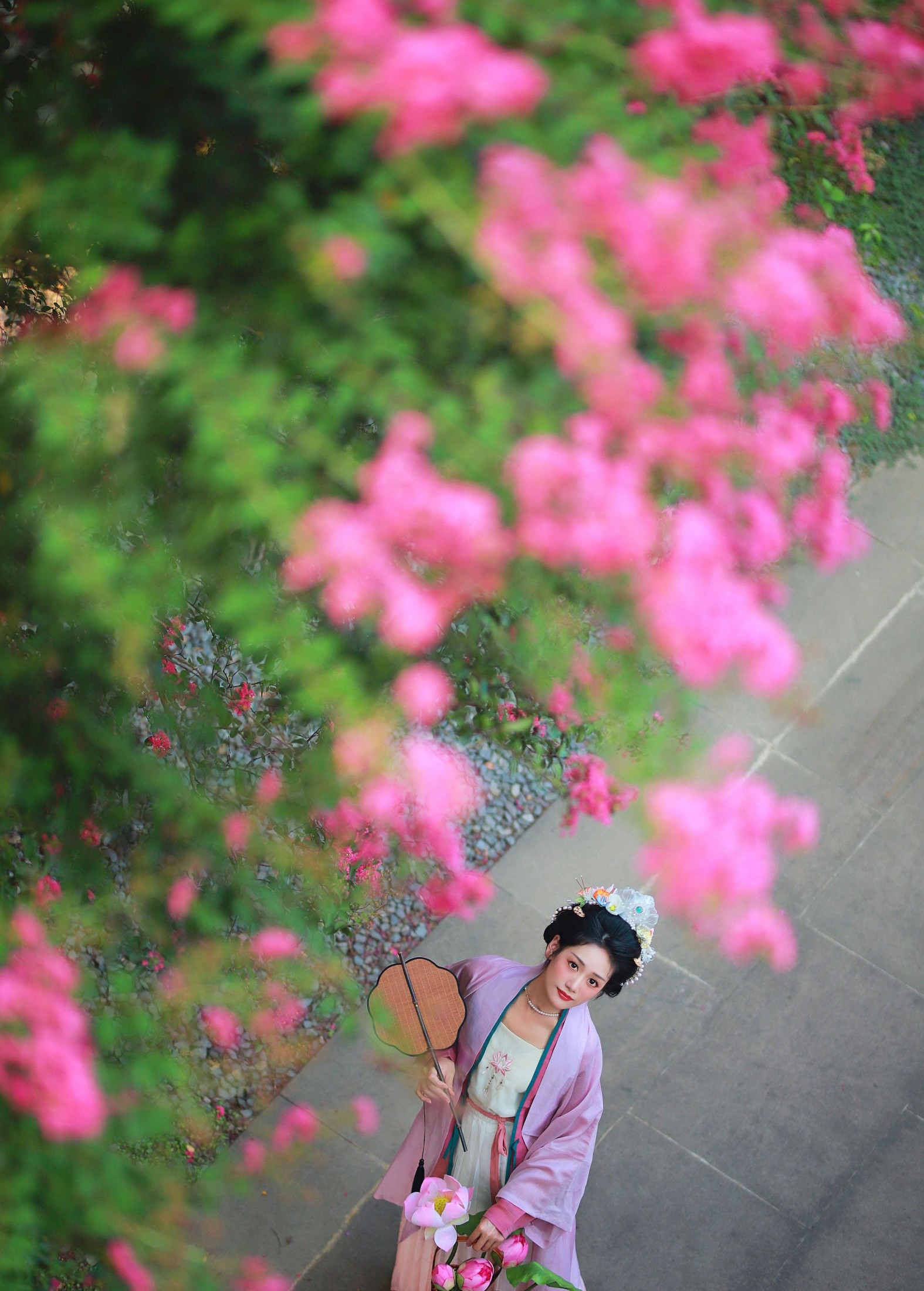 图片[2]-一只大大大李子 – 《紫薇花开》[27P]-COS写真在线网