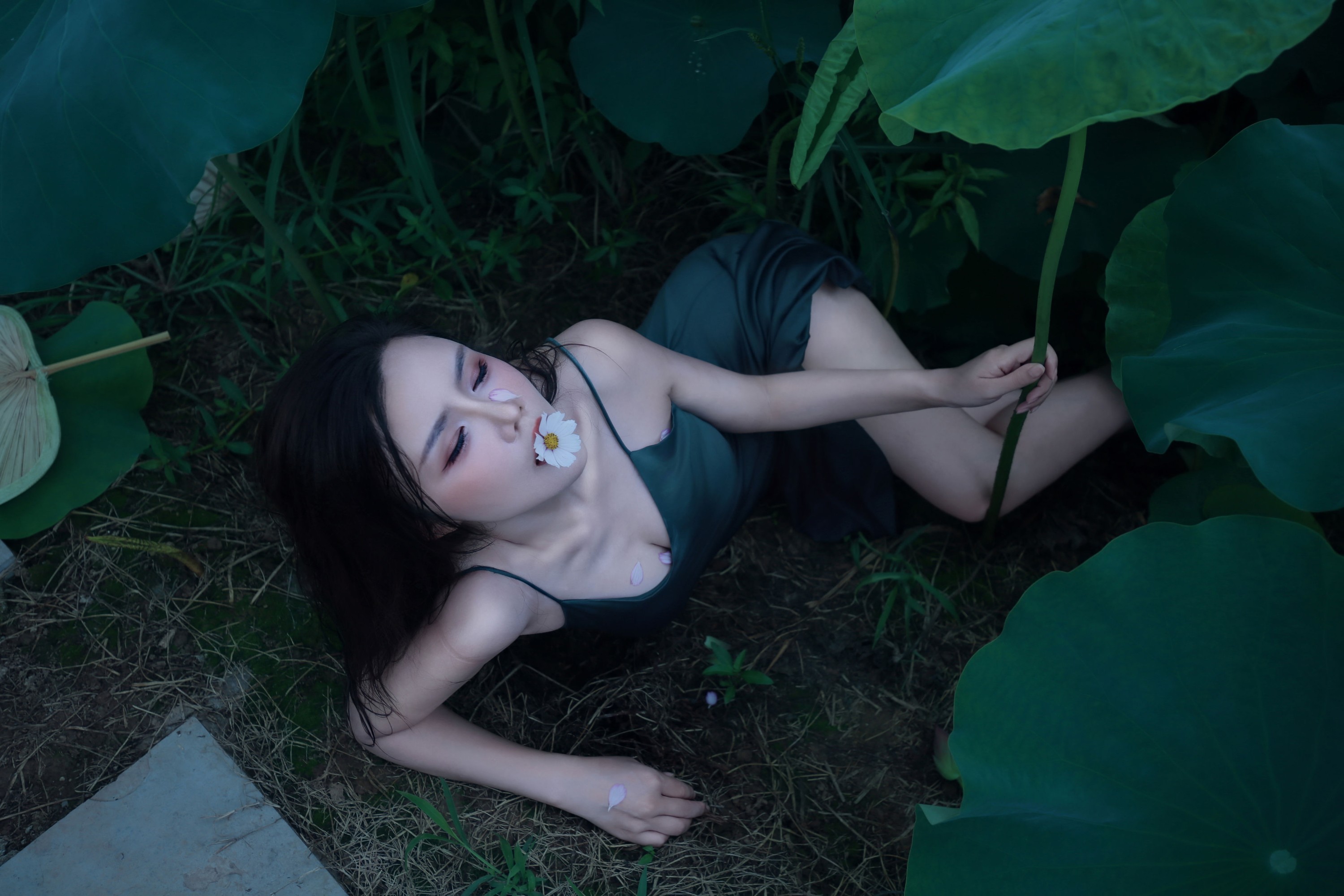 图片[3]-泽书 – 《碧罗栽夏》[18P]-COS写真在线网