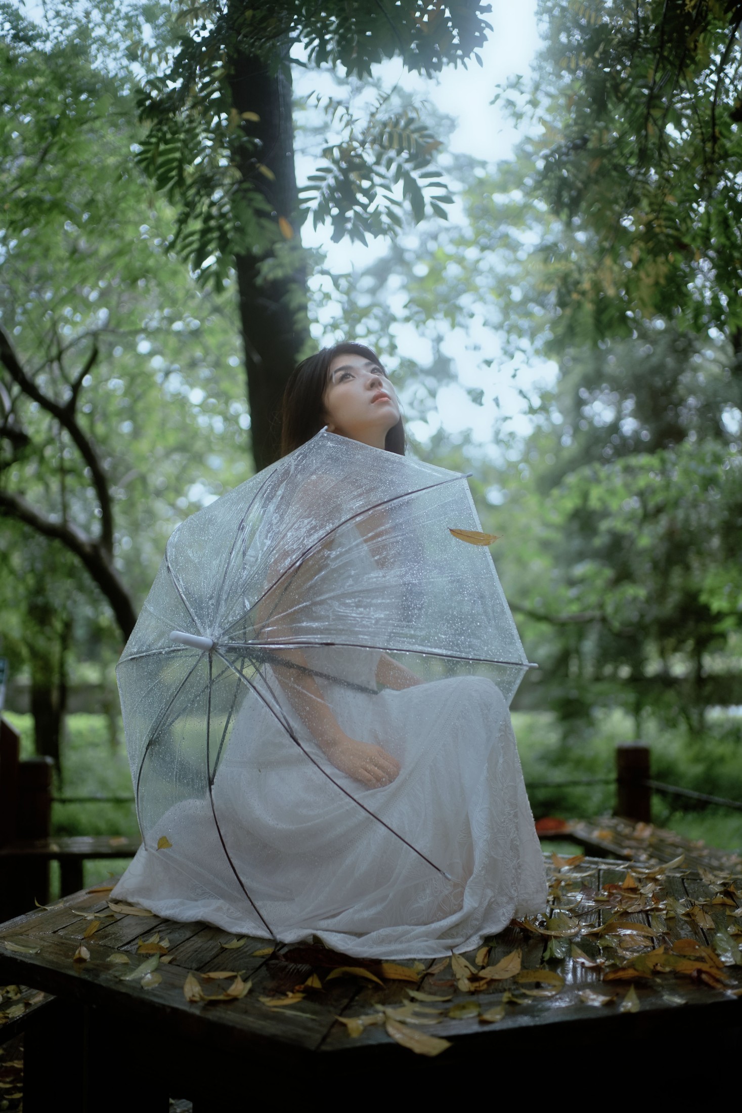 图片[3]-小鹿 – 《雨落林间，邂逅白裙仙子》[20P]-COS写真在线网