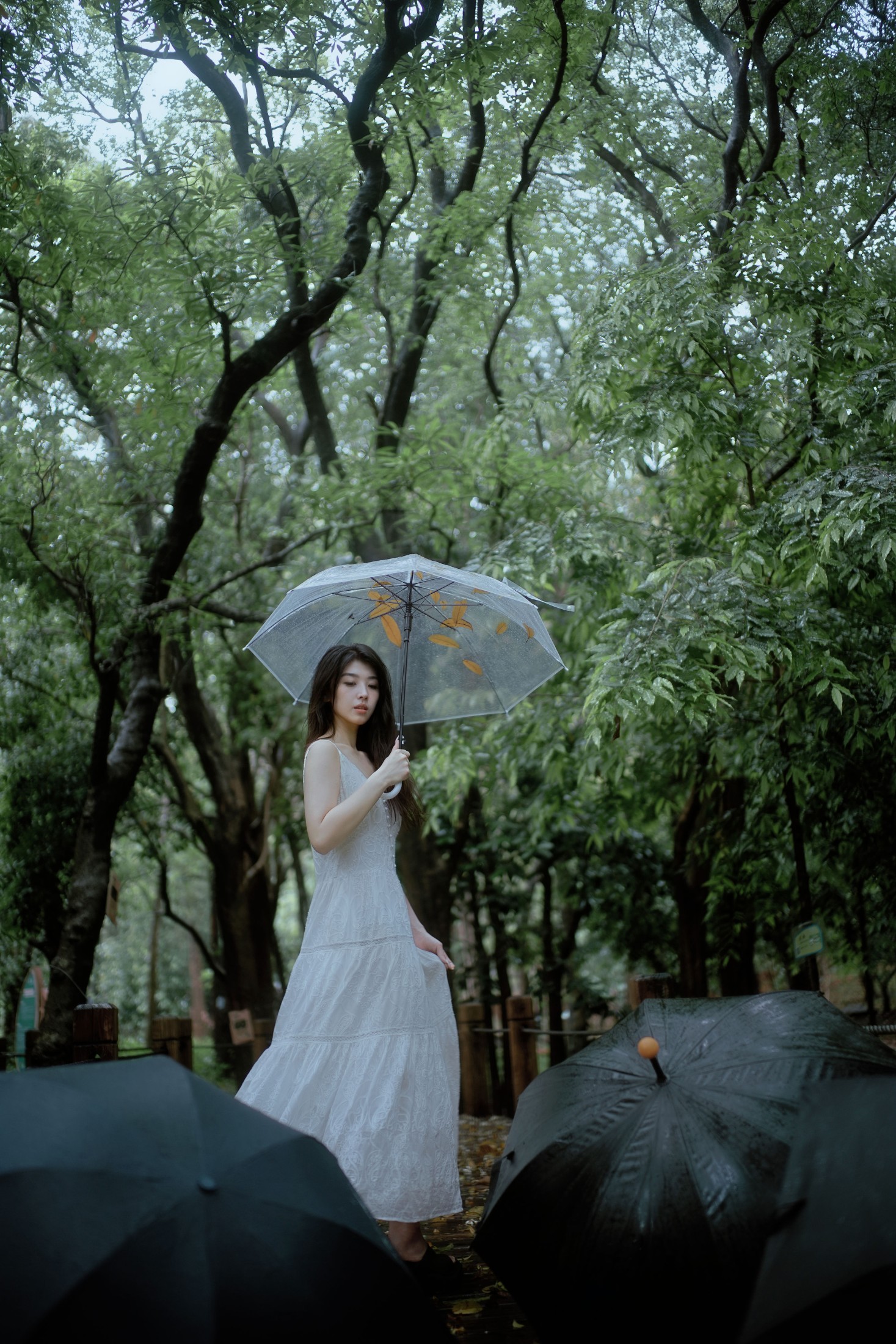 图片[5]-小鹿 – 《雨落林间，邂逅白裙仙子》[20P]-COS写真在线网