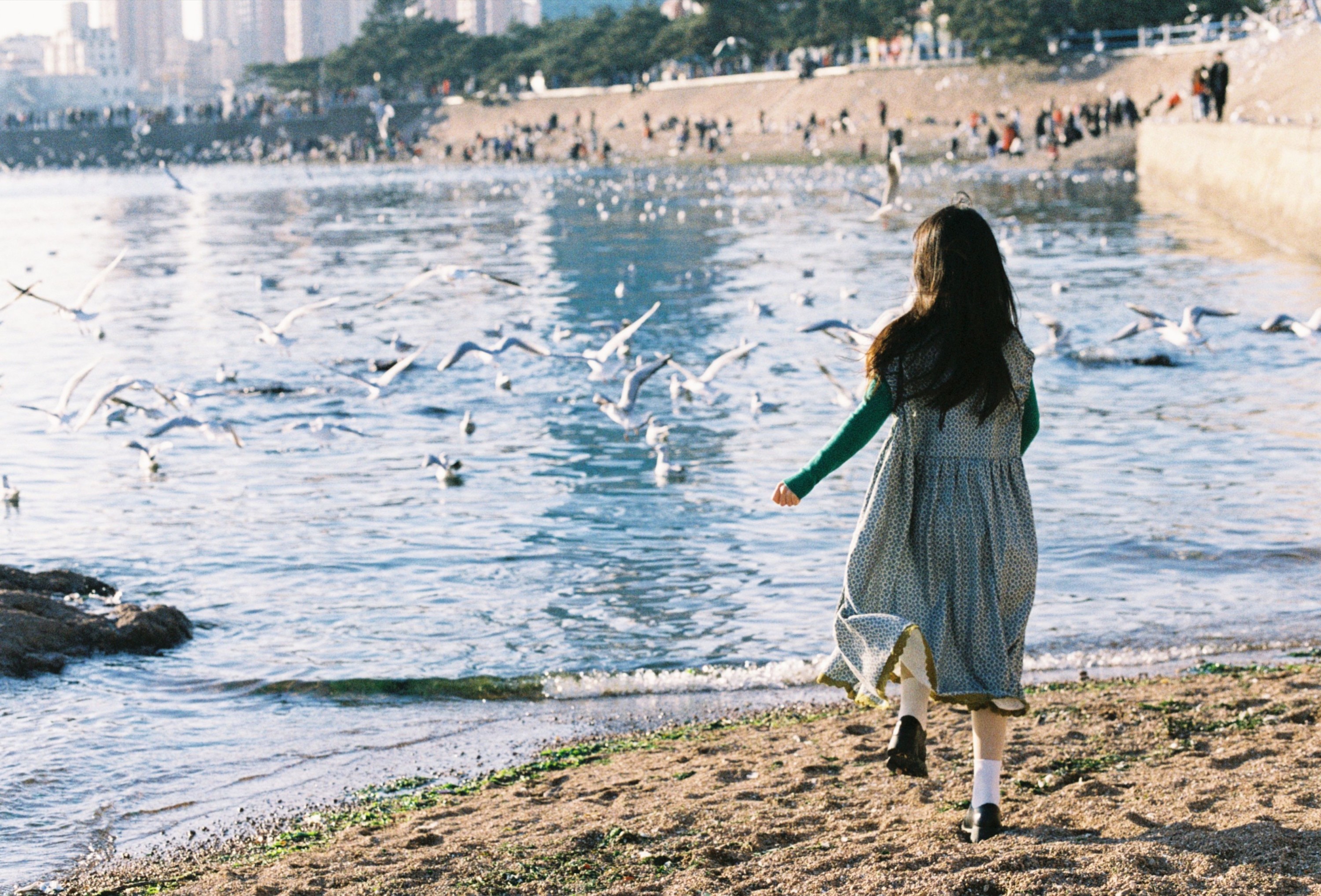图片[4]-圆脸诺 – 《海鸥不再眷恋大海》[28P]-COS写真在线网