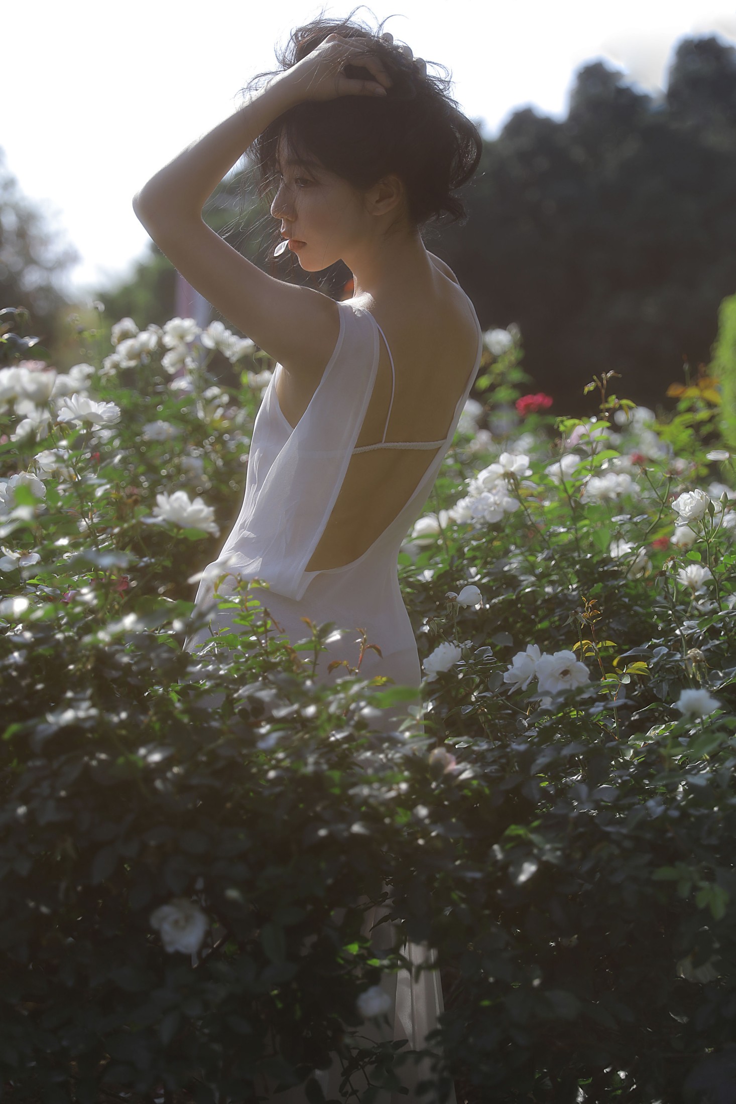 图片[3]-Wendy园子模特 – 《细嗅蔷薇》[19P]-COS写真在线网