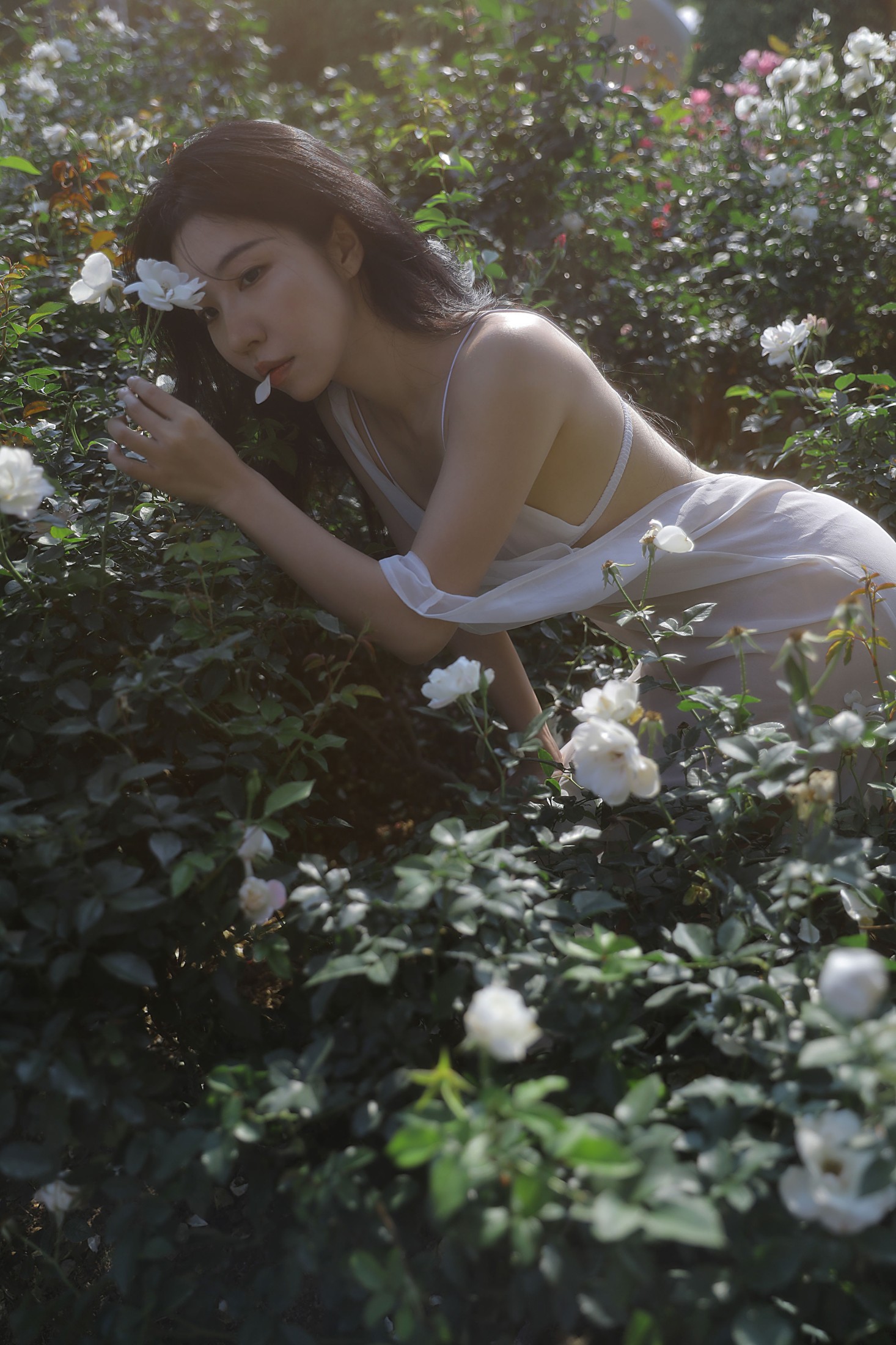 图片[5]-Wendy园子模特 – 《细嗅蔷薇》[19P]-COS写真在线网