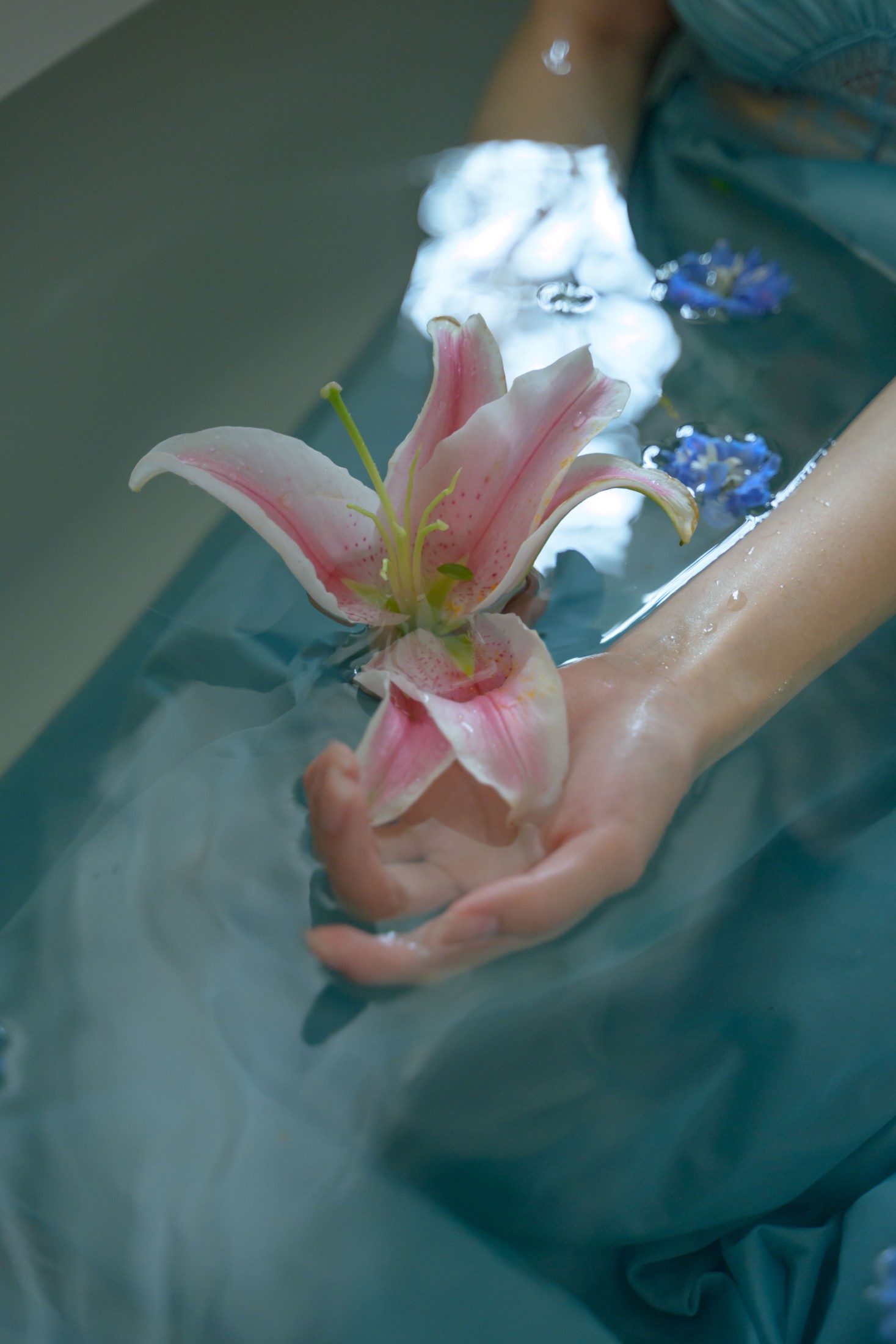 图片[3]-潘潘 – 《夏天是一种感觉》[24P]-COS写真在线网