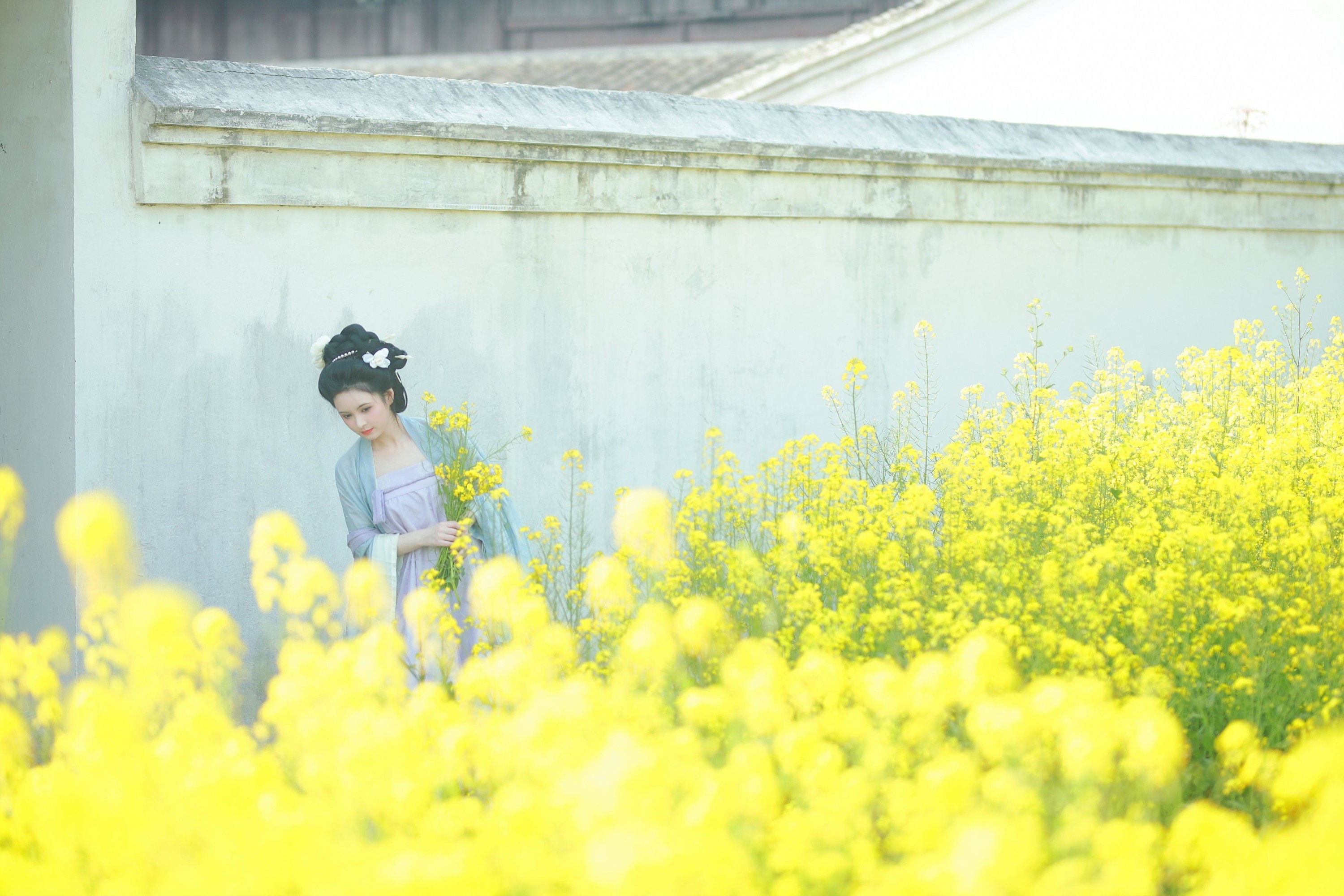 图片[5]-6161 – 《唐风写真油菜花》[24P]-COS写真在线网