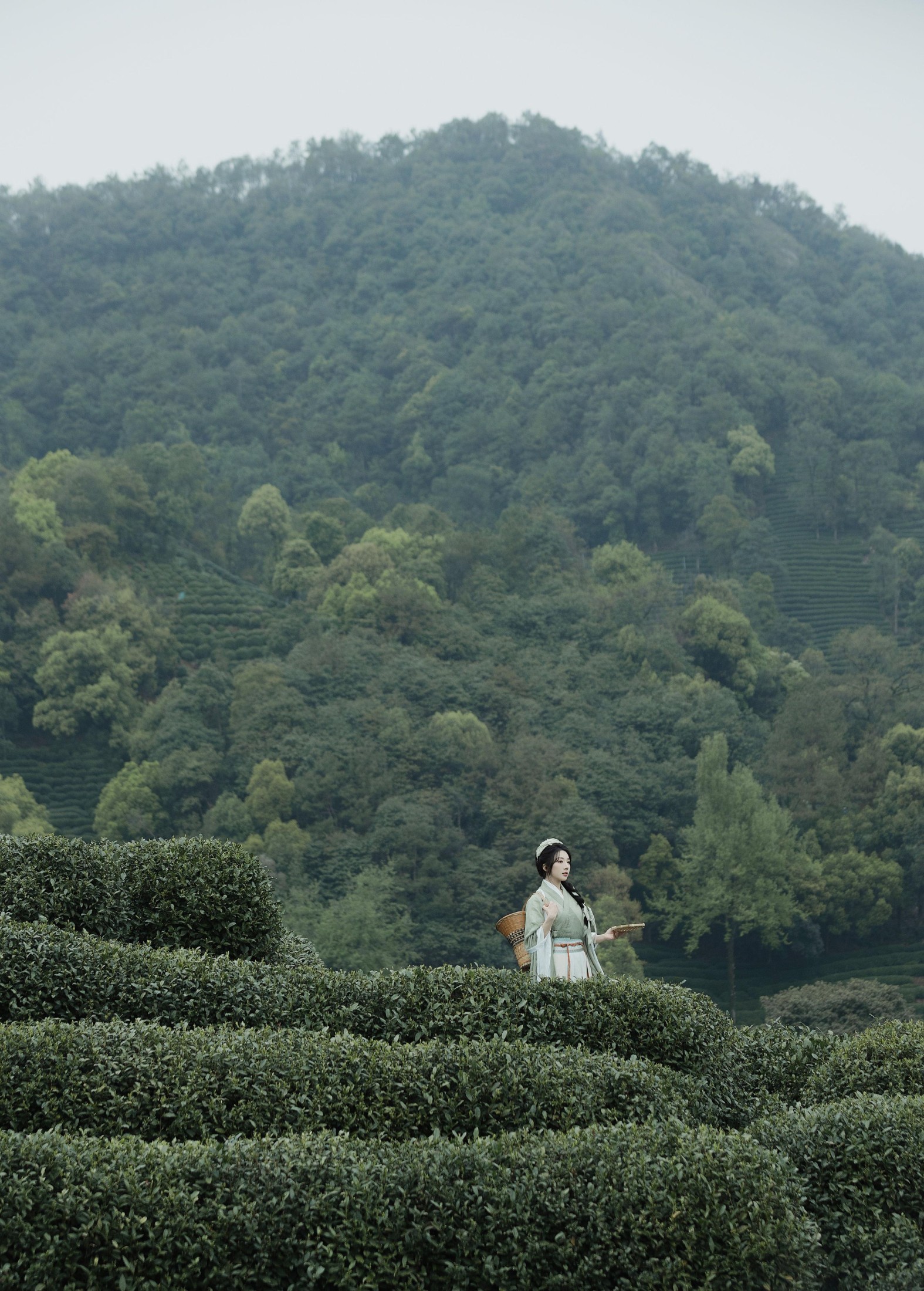 图片[2]-是真的南渊 – 《采茶》[81P]-COS写真在线网