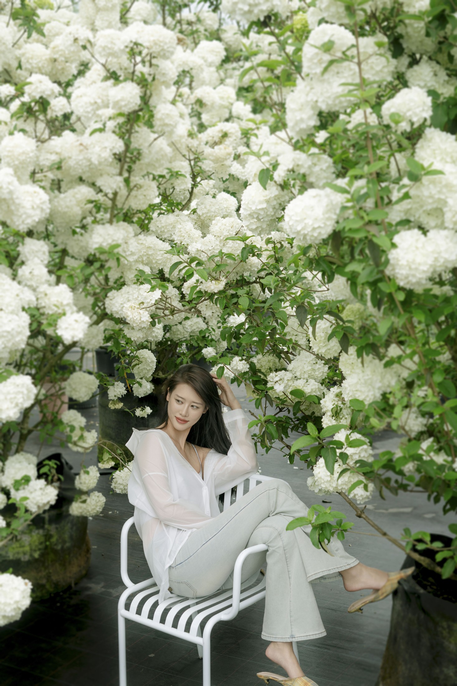 图片[3]-Chenaling_CL – 《绣球》[20P]-COS写真在线网