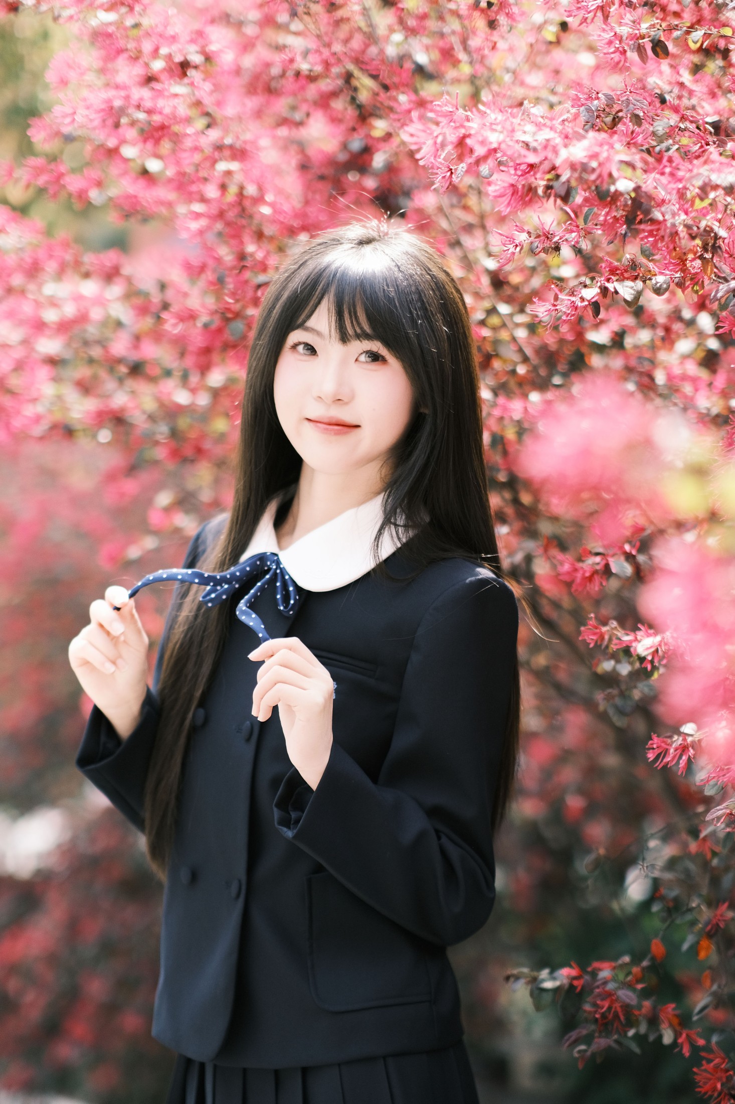 图片[4]-10 – 《想不到吧路边绿化的红继木拍出来这么好看》[18P]-COS写真在线网