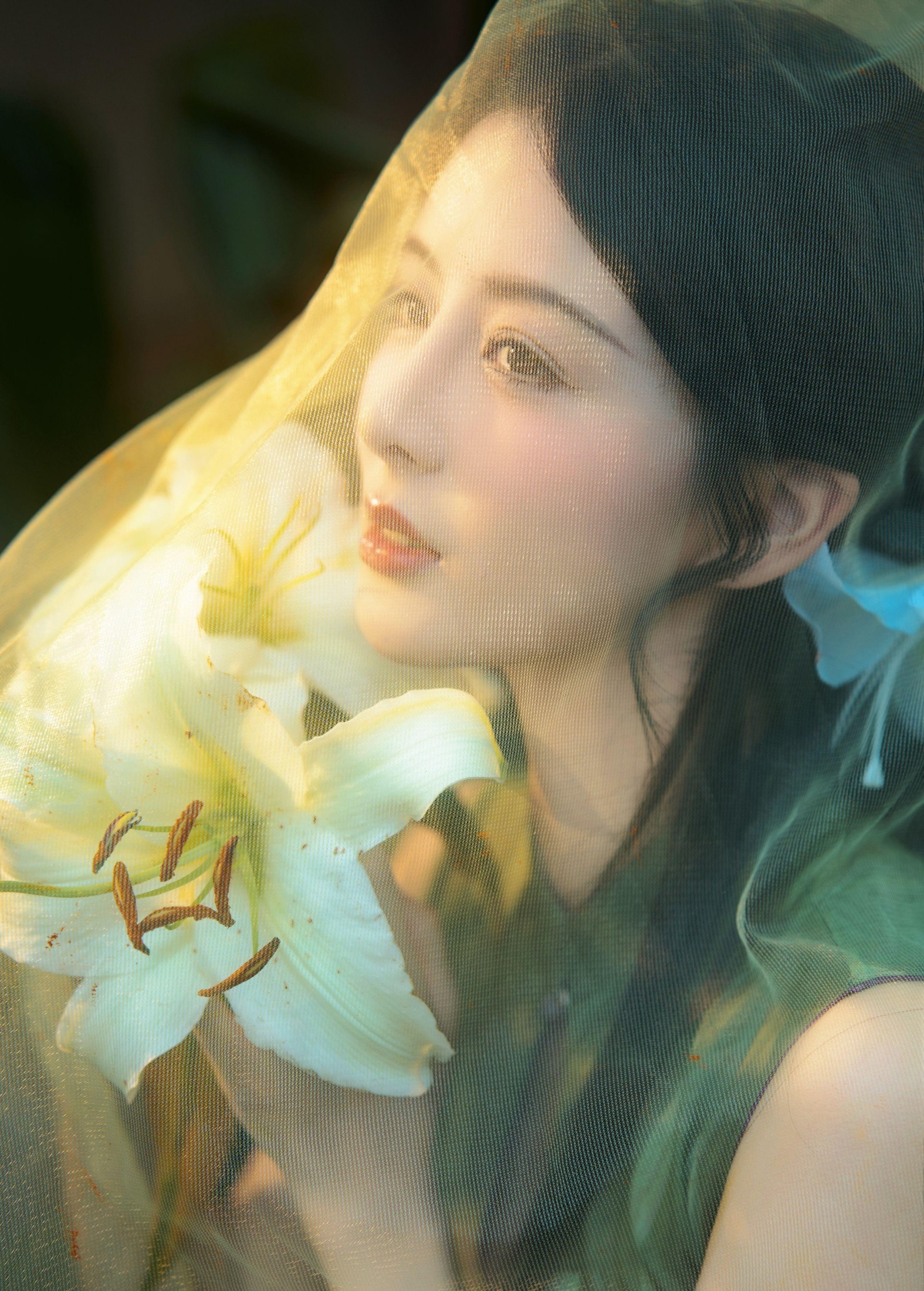 图片[2]-言欢 – 《不与花同梦》[13P]-COS写真在线网
