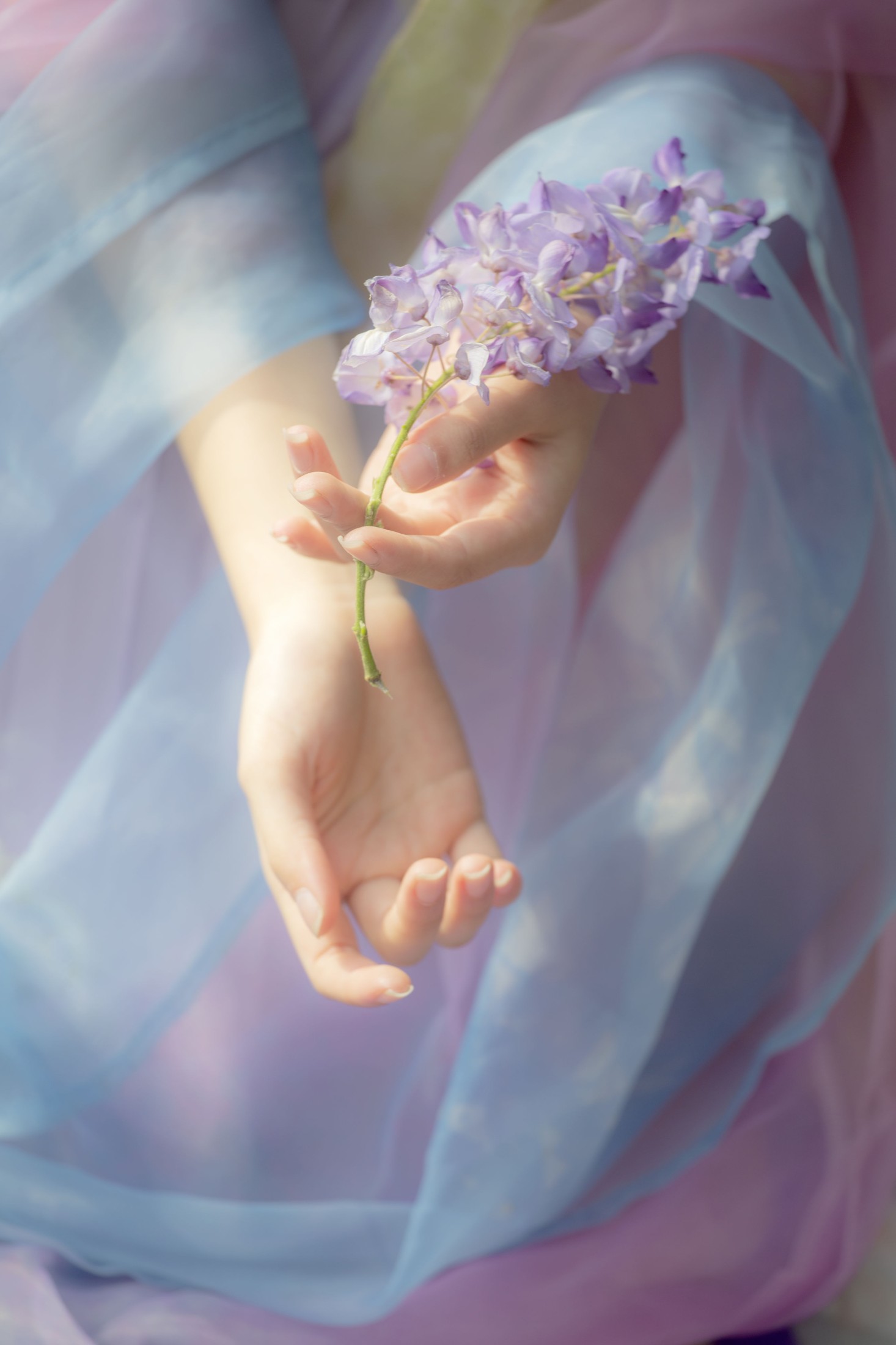 图片[4]-池白浔 – 《紫藤花》[22P]-COS写真在线网