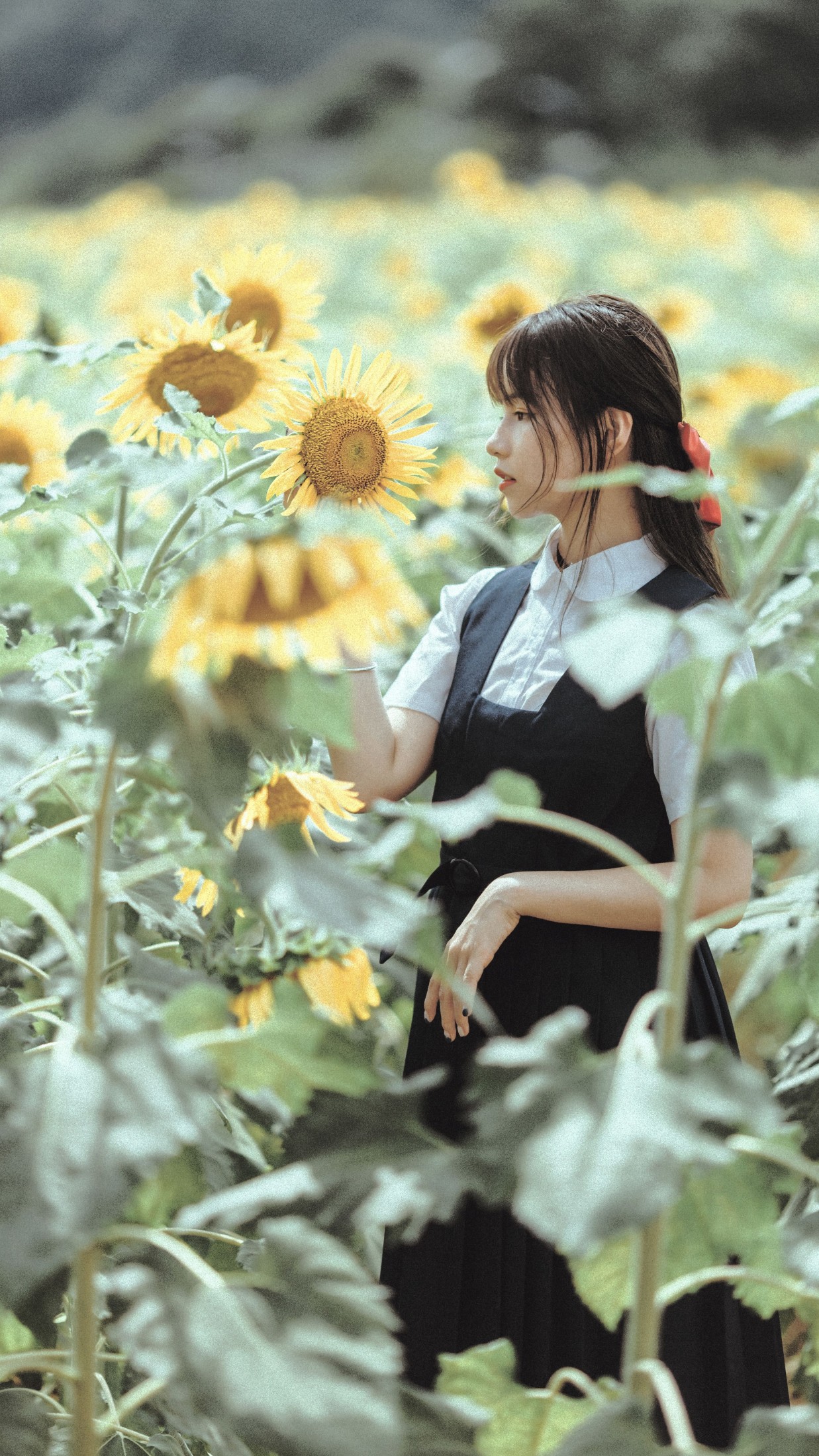 图片[3]-薇薇 – 《夏天的太阳花》[17P]-COS写真在线网
