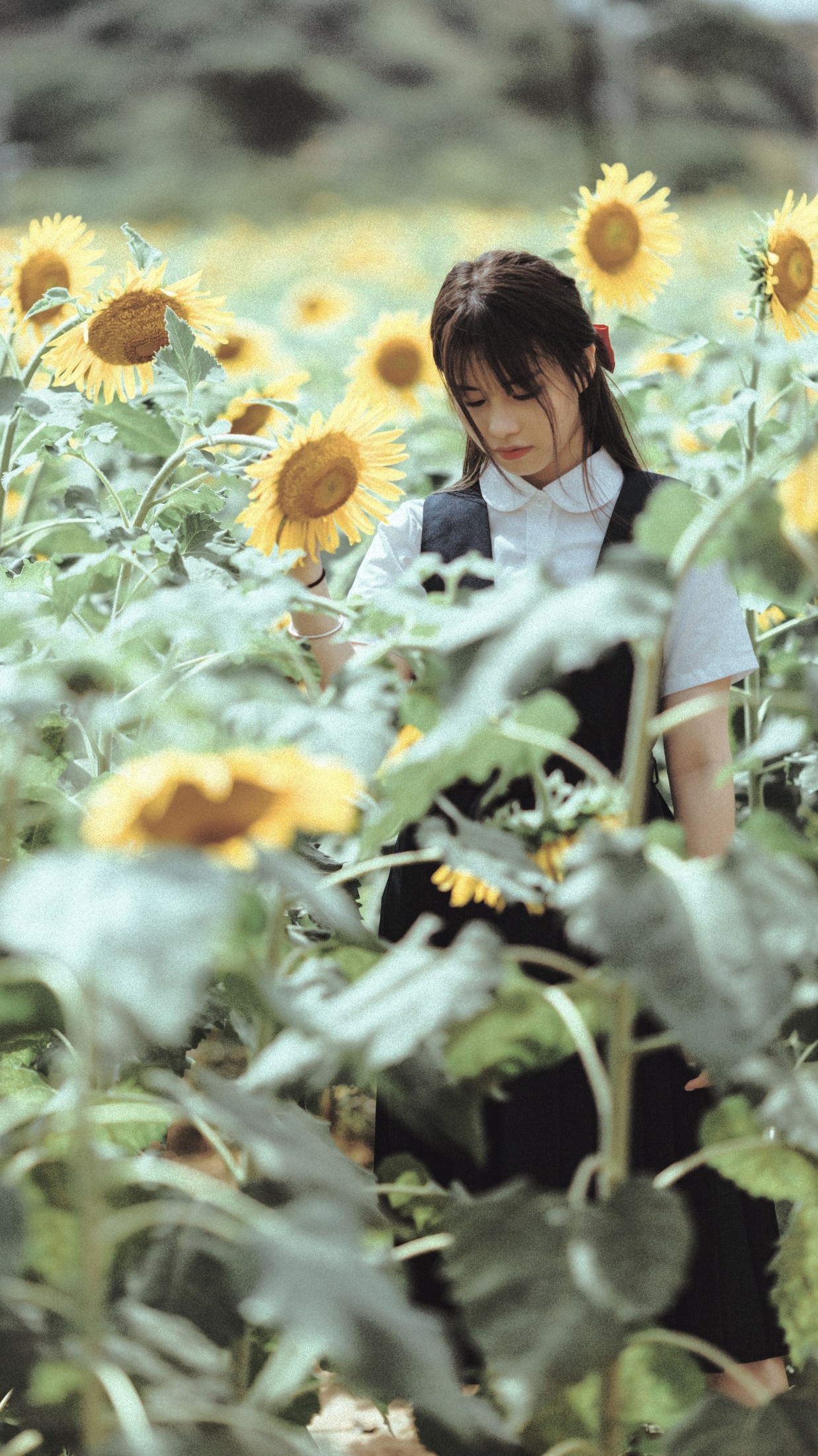图片[4]-薇薇 – 《夏天的太阳花》[17P]-COS写真在线网