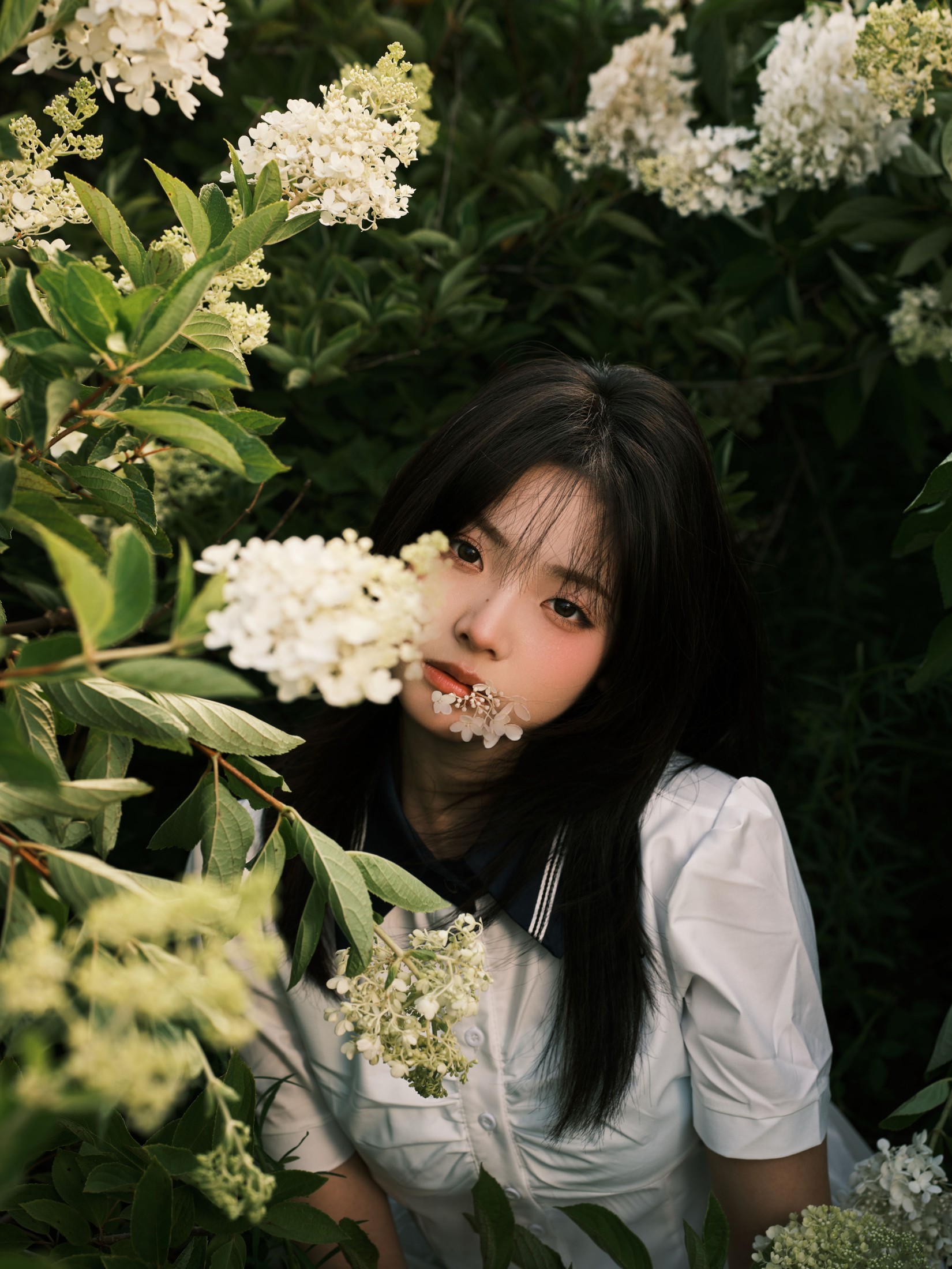 图片[4]-炸洋芋 – 《绣球花》[13P]-COS写真在线网