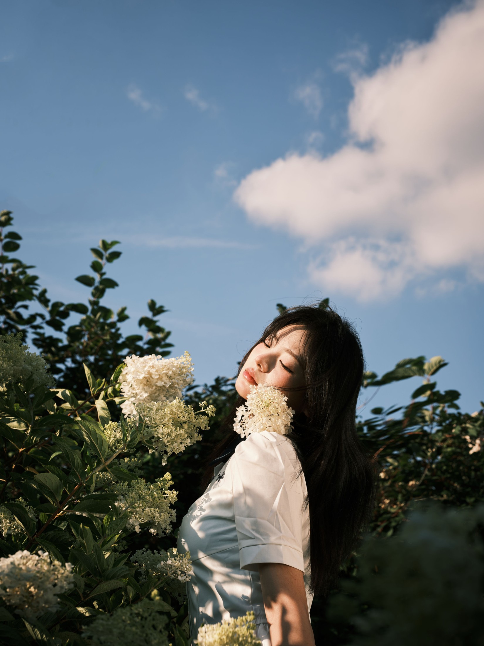炸洋芋 – 《绣球花》[13P]-COS写真在线网