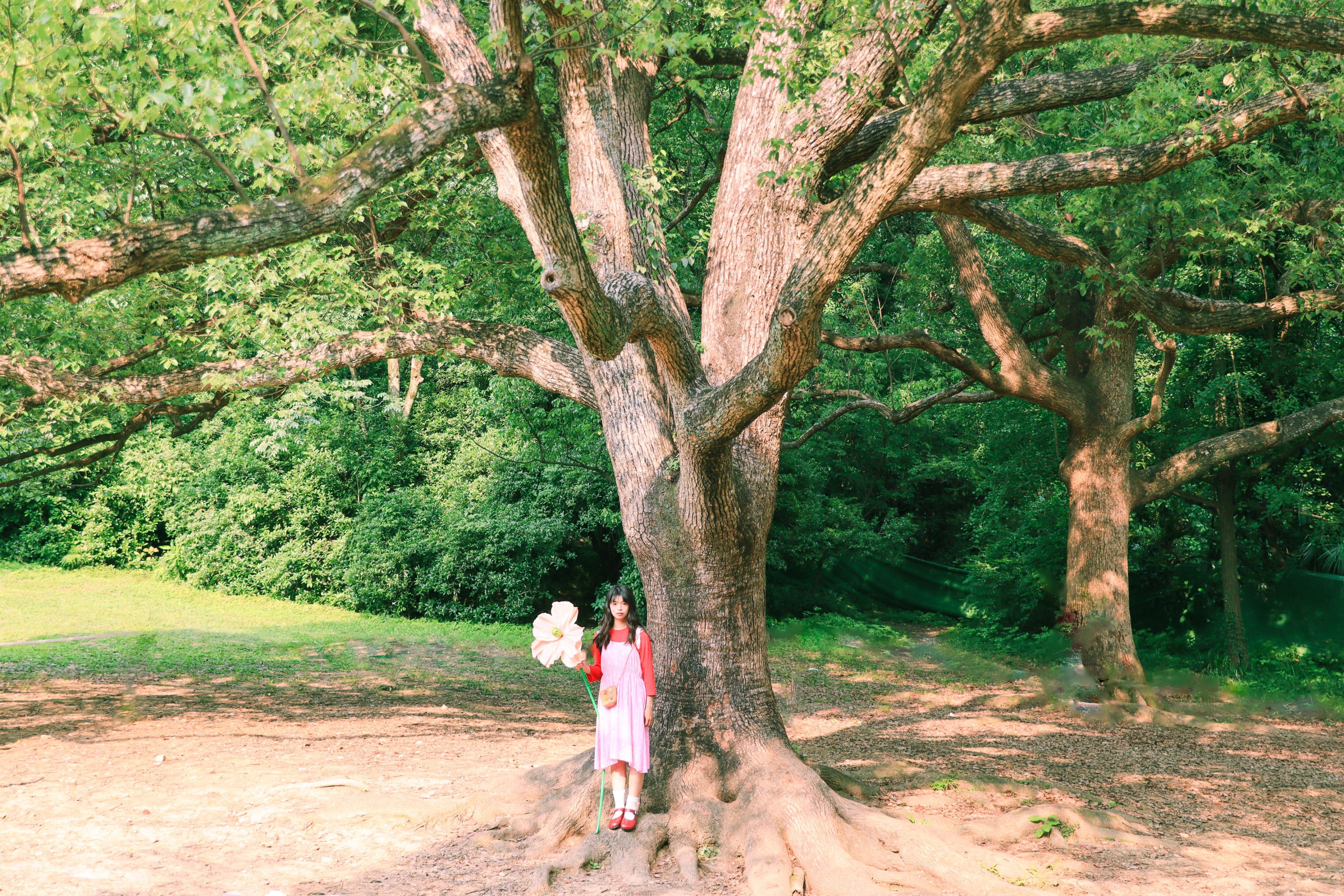 图片[3]-婠婍 – 《森林小精灵》[17P]-COS写真在线网