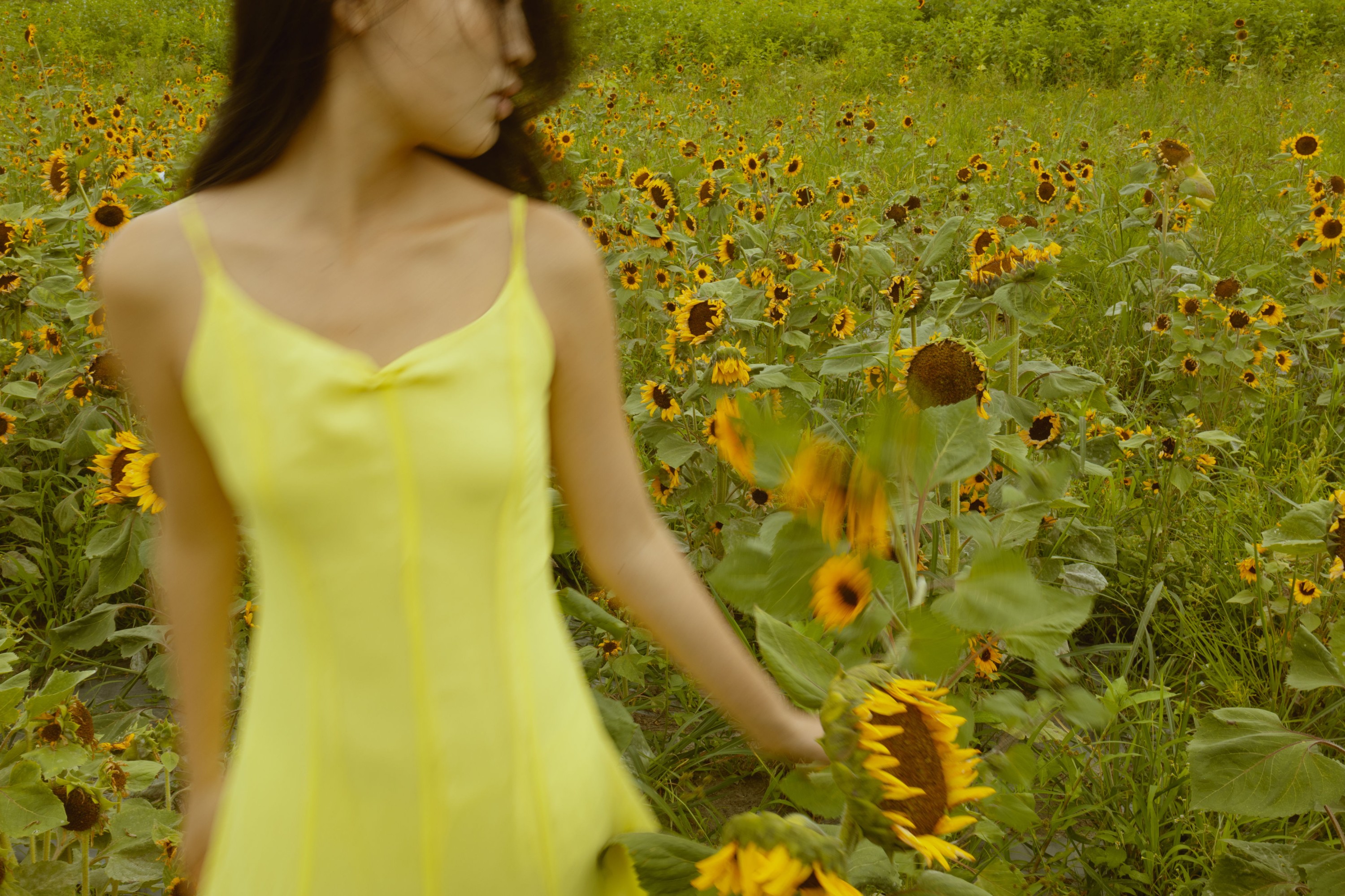 图片[5]-兔子 – 《我与大理｜花海》[14P]-COS写真在线网