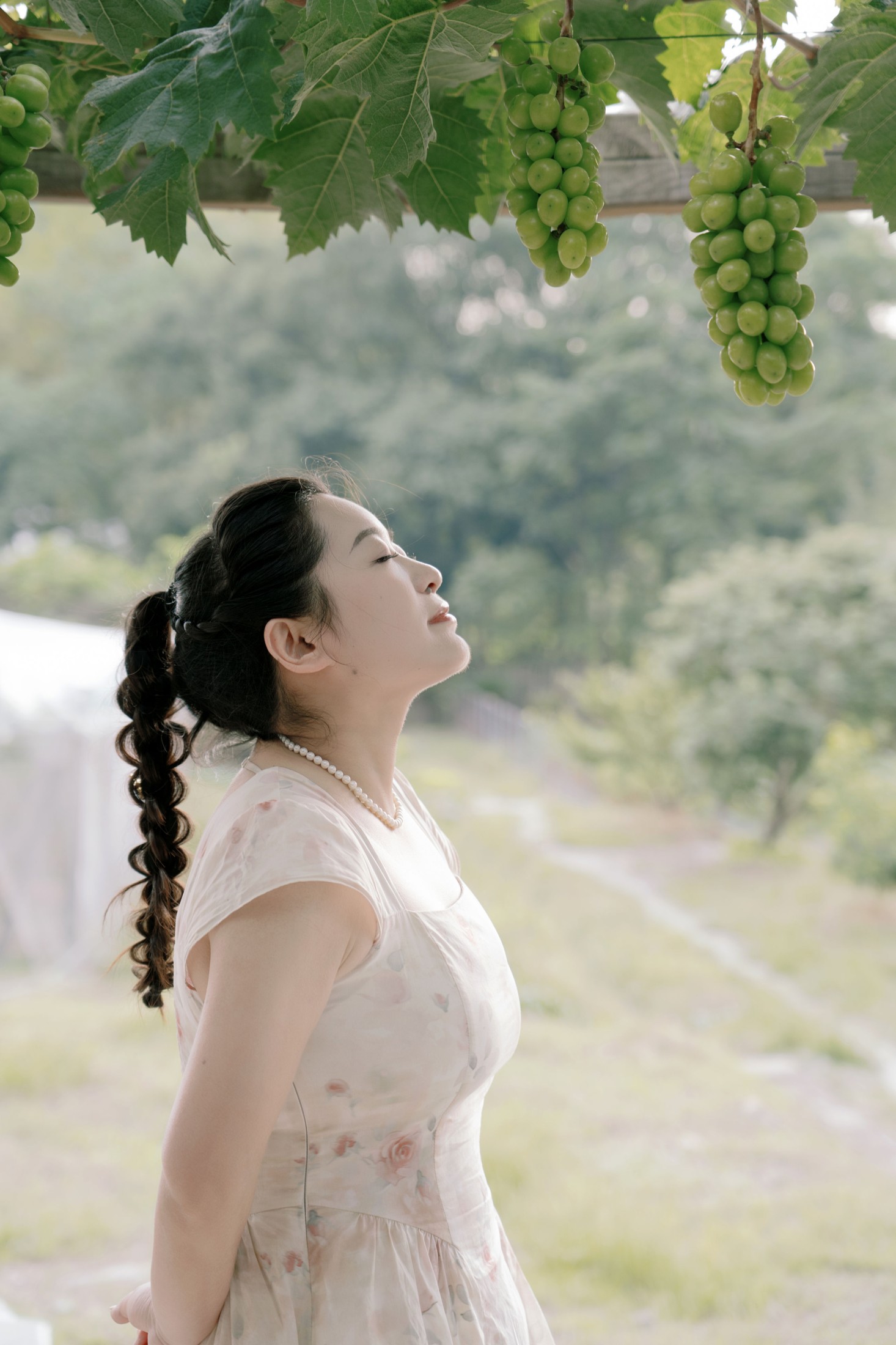 菌菌 – 《青提之夏》[16P]-COS写真在线网