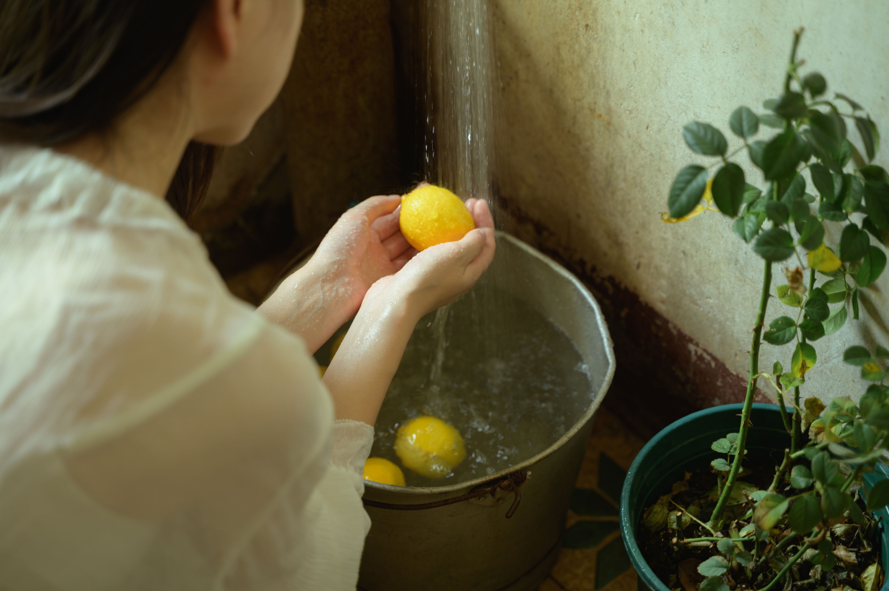 阿梦的虎牙 – 《夏天的尾巴》[35P]-COS写真在线网